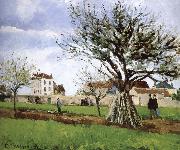 Pang map of apple Schwarz Camille Pissarro